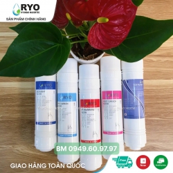 Máy lọc nước nóng lạnh RYO RP100S